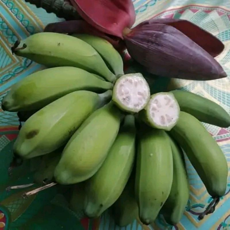 

Buah pisang klutuk atau pisang batu segar per 500 gram