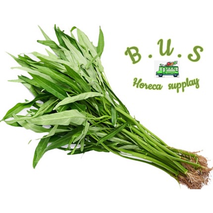 

Kangkung 1 Kg B.U.S