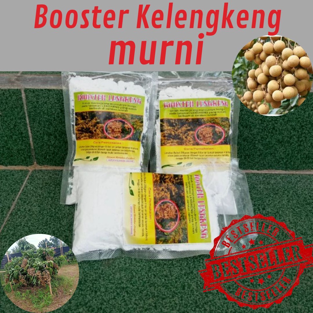 MURAH MERIAH Booster Kelengkeng Kclo3 / Booster Kelengkeng Tabulampot / booster kelengkeng alami