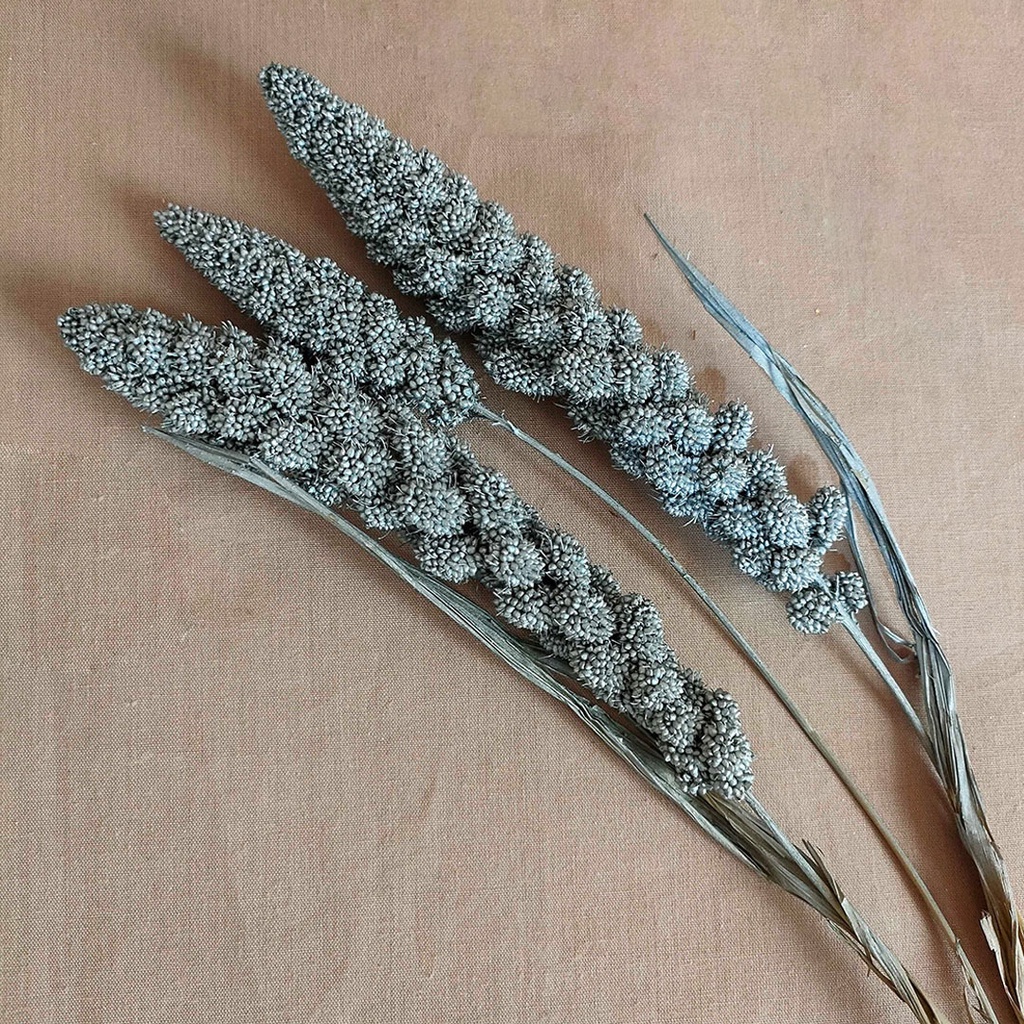 Dried Setarea Ramadhan Hampers Decoration Lebaran Dekorasi Idul Fitri Hari Raya Hiasan Bunga  Kering  Preserved Flower Dry Flower Dried Flower