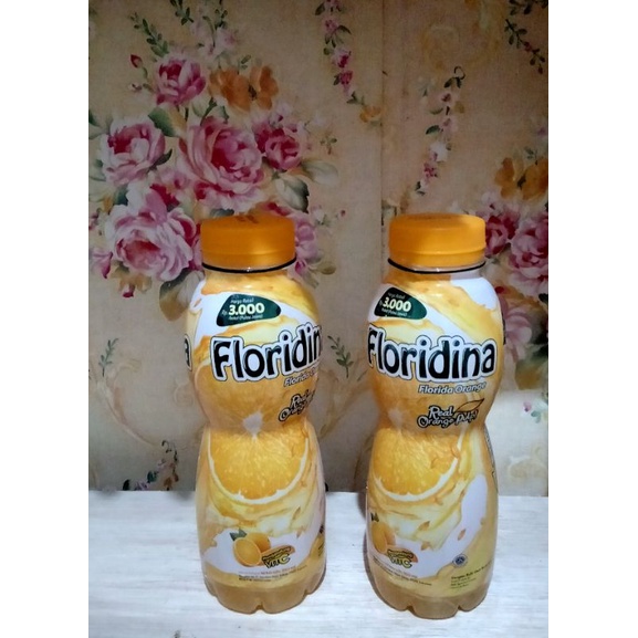 

FLORIDINA Orange 350ml