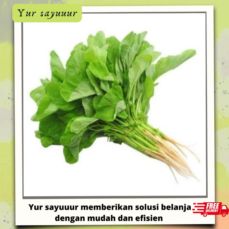 

Sayur bayam segar warna hijau