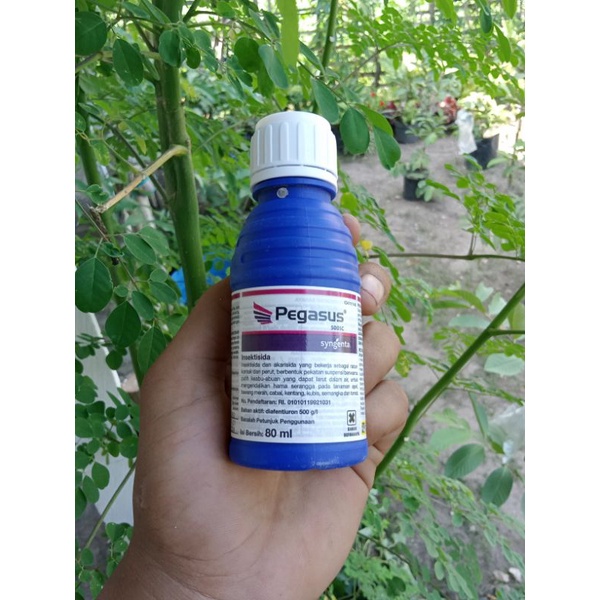 Insektisida Pegasus 80 ml