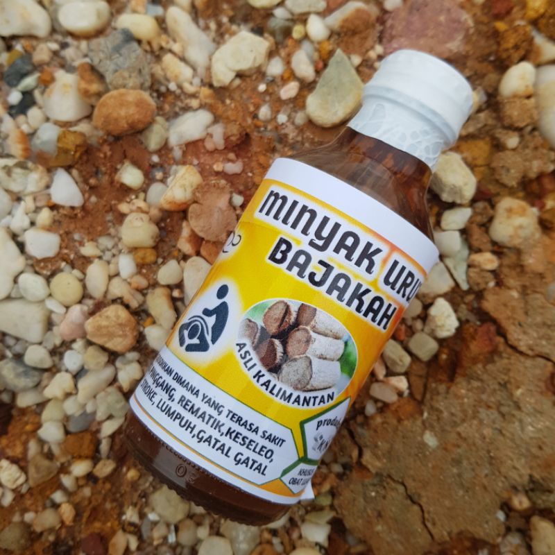 minyak urut bajakah kalawit asli tradisional kalimantan