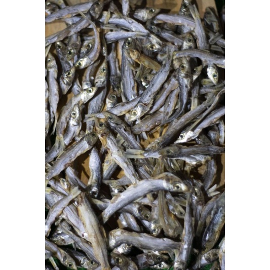 

TAMBAN KECIL TAWAR 1 KG