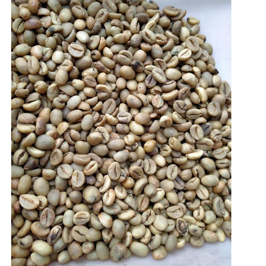 Quality Control✅Sujakopi 1kg Greenbean Robusta Dampit biji kopi mentah|RA4