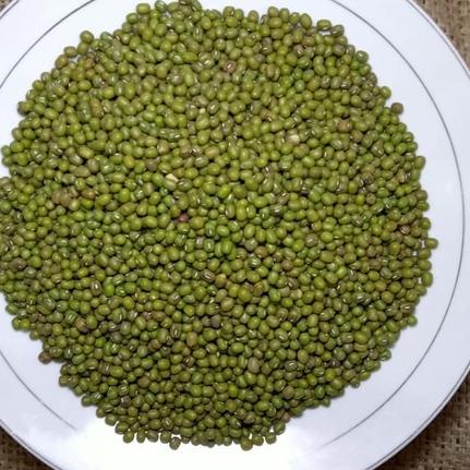 

Direkomendasikan--KACANG HIJAU AUSTRALIA, BIRMA DAN LOKAL JAWA 500 GRAM