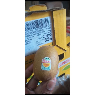 

Buah kiwi gold zisper