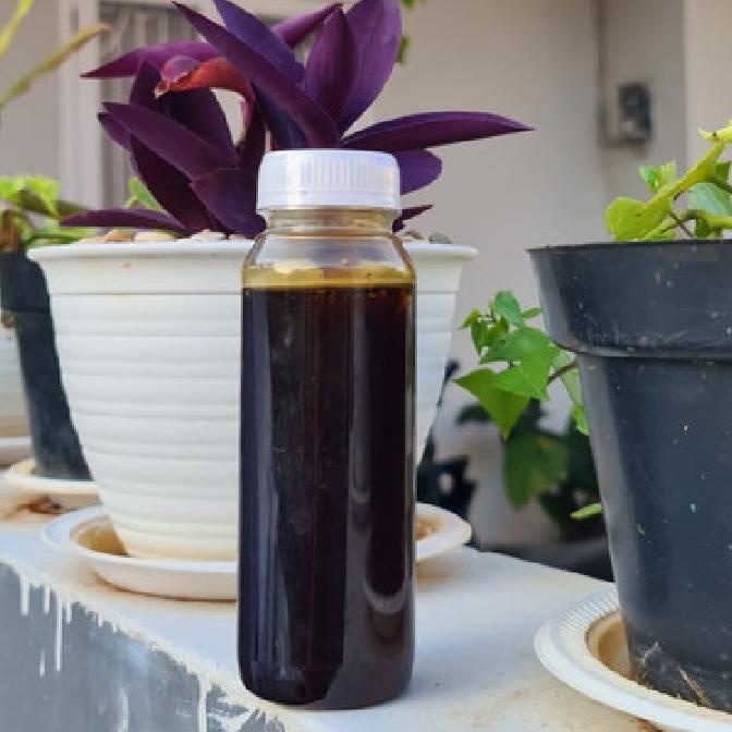 

PROMO MADU HITAM MANIS GAMAT PROPOLIS ISI BERSIH 300G TERBAIK