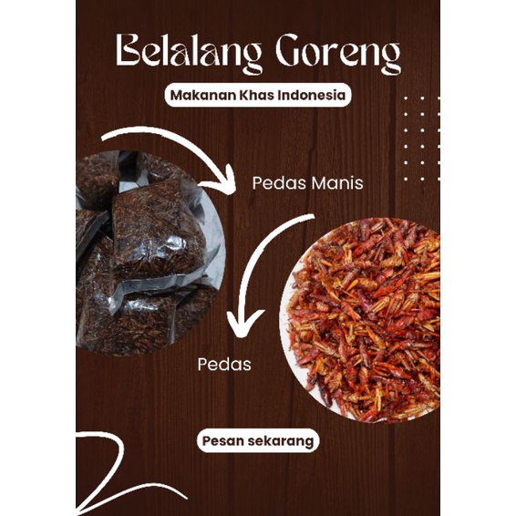 

Belalang Goreng Berat 500gr