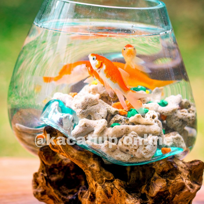 akuarium ikan size XL / akuarium cupang / pot kaca tiup