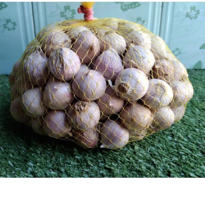 

Update Bawang Putih Tunggal ukuran Besar 1 kg ✔