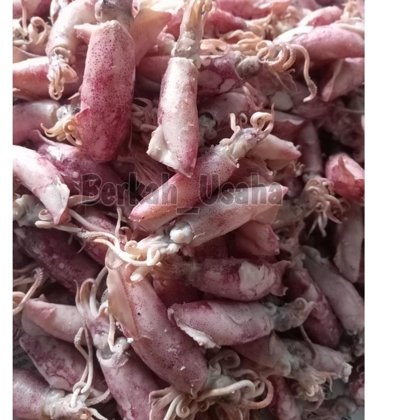 

Import Terlaris CUMI ASIN REBUS FRESH size 4-7cm Per 500gram IKAN ASIN MURAH GROSIR KERING