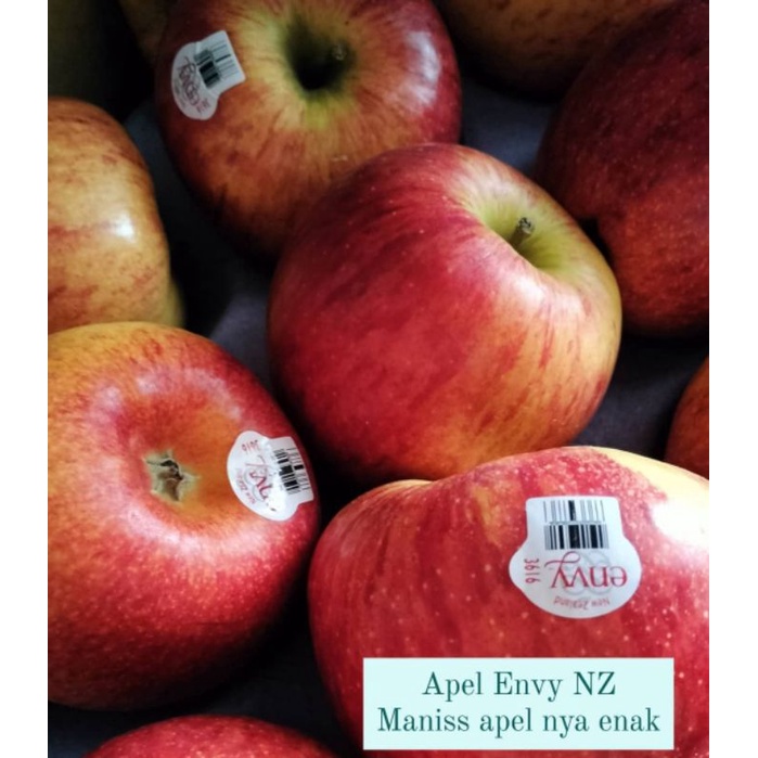 Buah Apel Envy NZ New Zealand