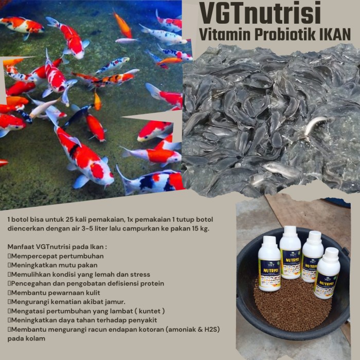 VGT nutrisi ikan vitamin probiotik perikanan air tawar payau lele nila