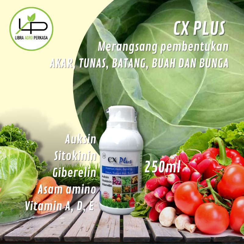 Jual Hormon ZPT Auksin Sitokinin Dan Giberelin CX PLUS 250ml | Shopee ...