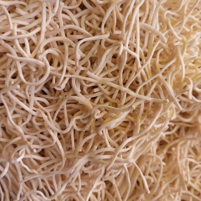 

PROMO mie basah warna kuning dan putih - Putih