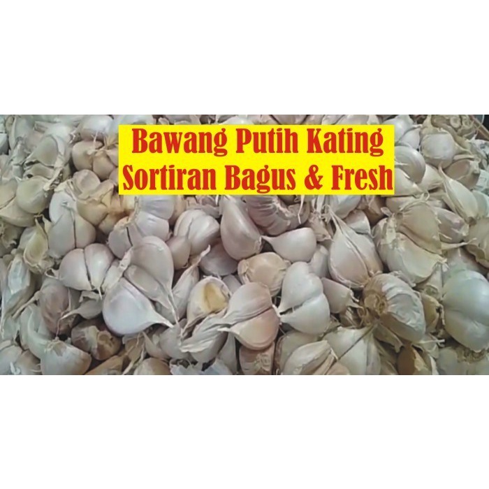 

Bawang Putih Kating Fresh Sortiran Bagus 1kg