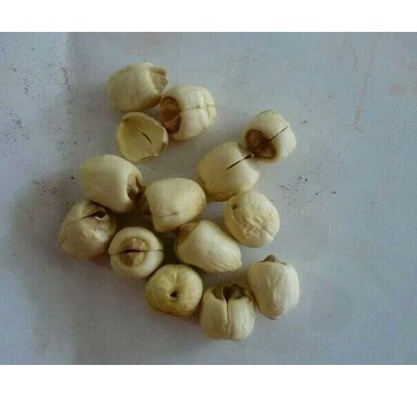

Diskon Promo.. 100 G GR GRAM BAI LIAN ZI LOTUS SEED SEEDS 52