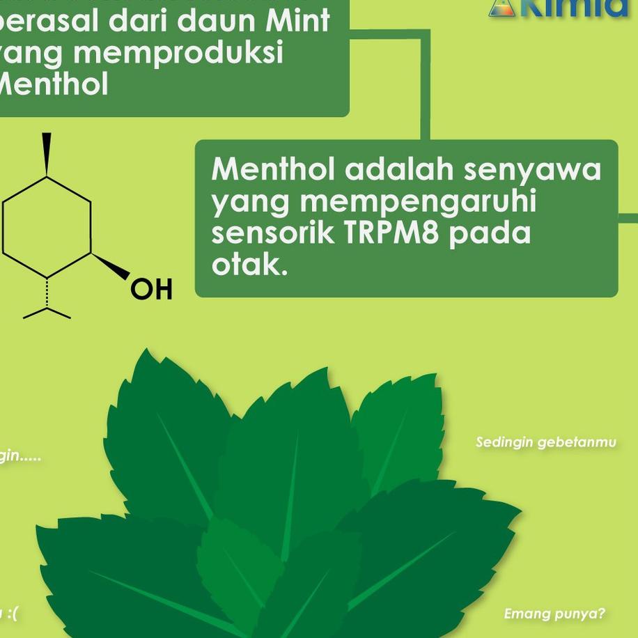

kodeS8e8D--Menthol Crystal Food Grade 250 gram