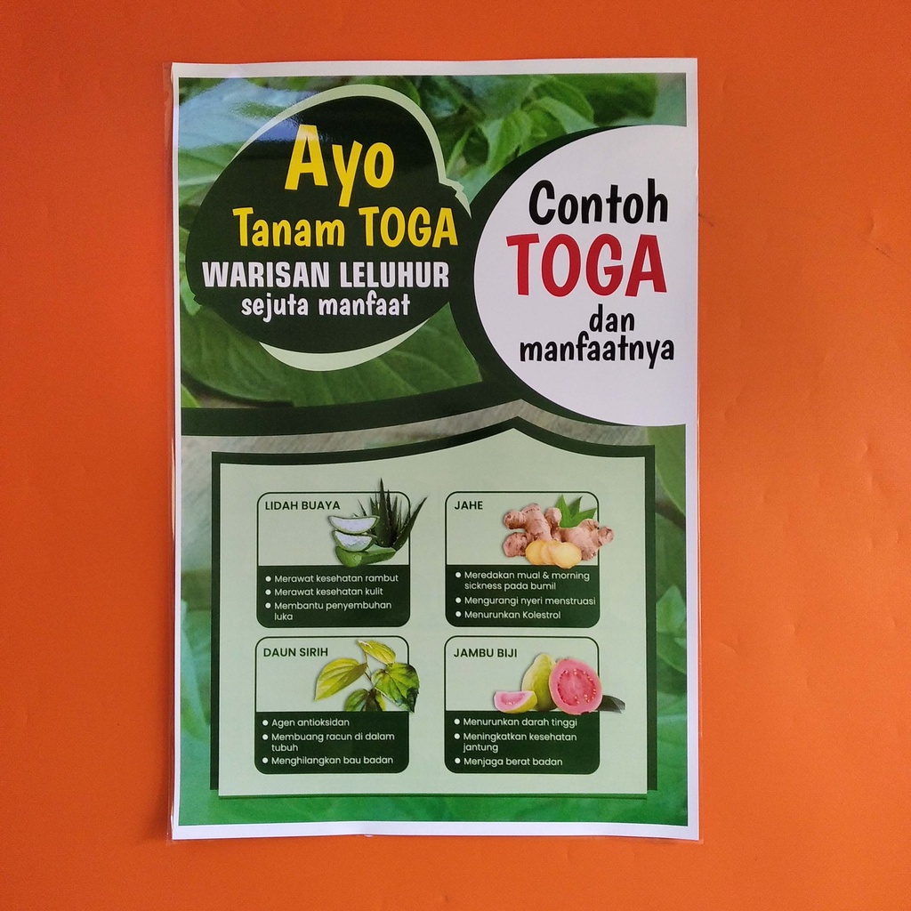 Jual Poster Kesehatan Poster Toga Poster Tanaman Obat Keluarga Poster Herbal Shopee