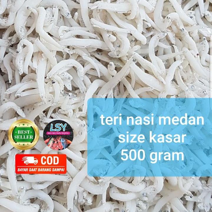 

Terjangkau - ikan asin Teri nasi medan super/ tn putih / size jumbo 500gr ~