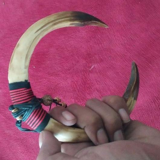 Chekout Sepasang taring babi | sepasang kalung taring babi