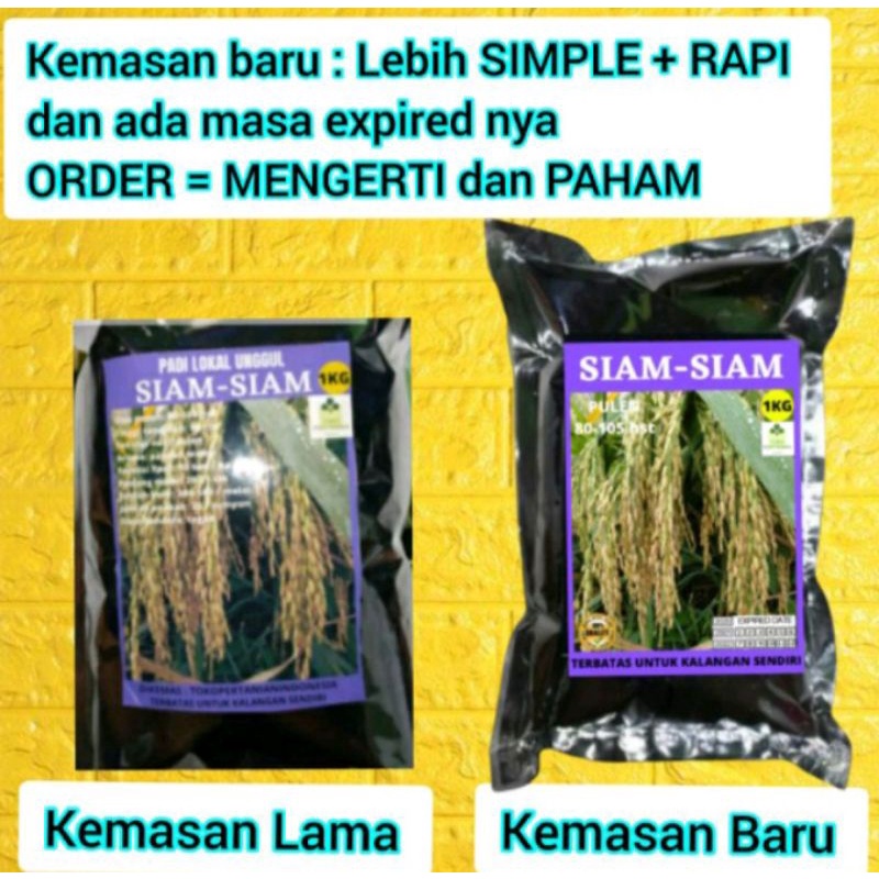 Jual Benih Padi Siam-Siam 1kg | Shopee Indonesia