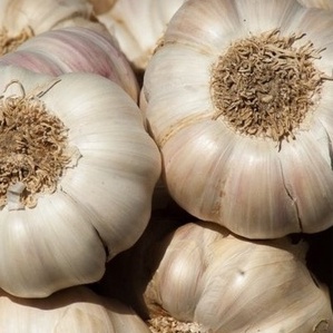 

Bawang putih bulat 1kg