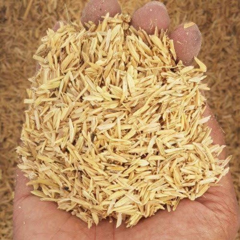 Sekam Padi Mentah Sekam Padi Kering 2kg