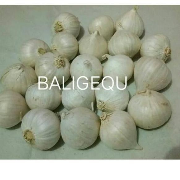 

limited STOCK!BAWANG PUTIH TUNGGAL 500 GRAM|KD5