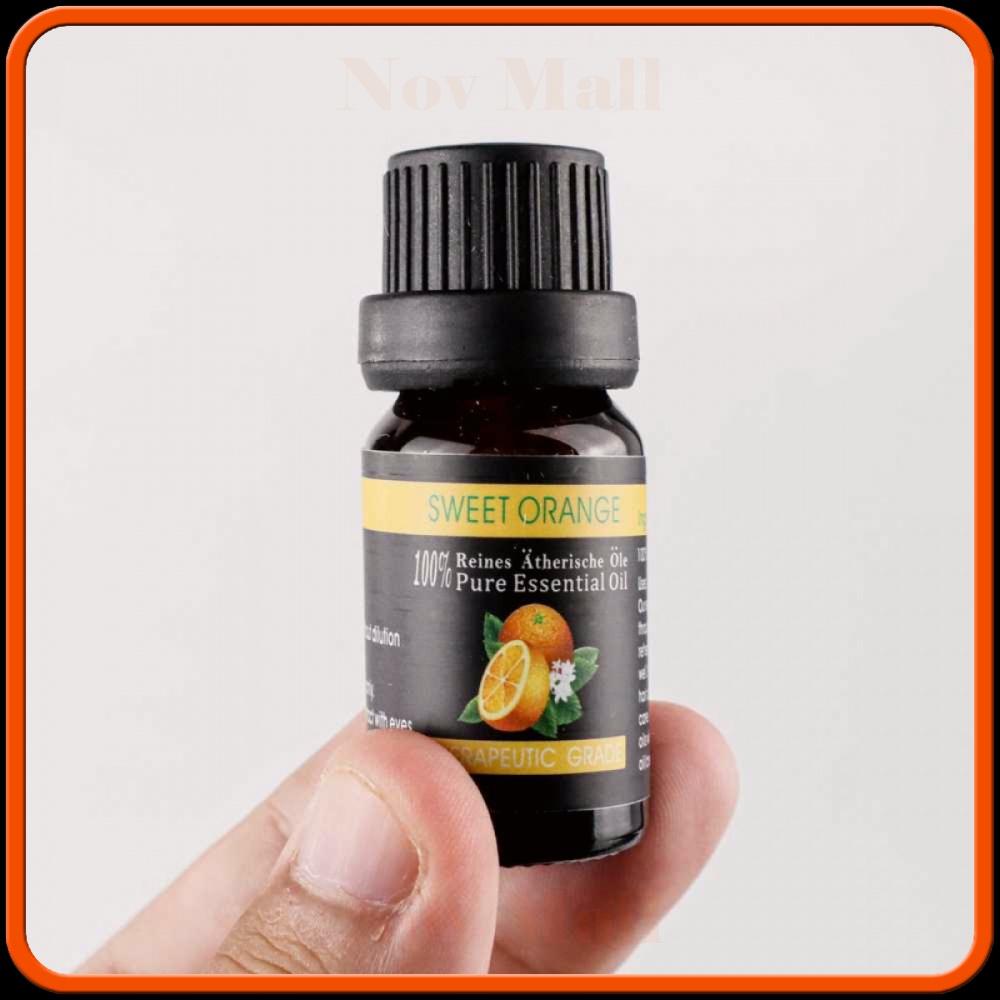 Essential Oils Minyak Aromatherapy Diffusers 10ml 6 PCS AM307