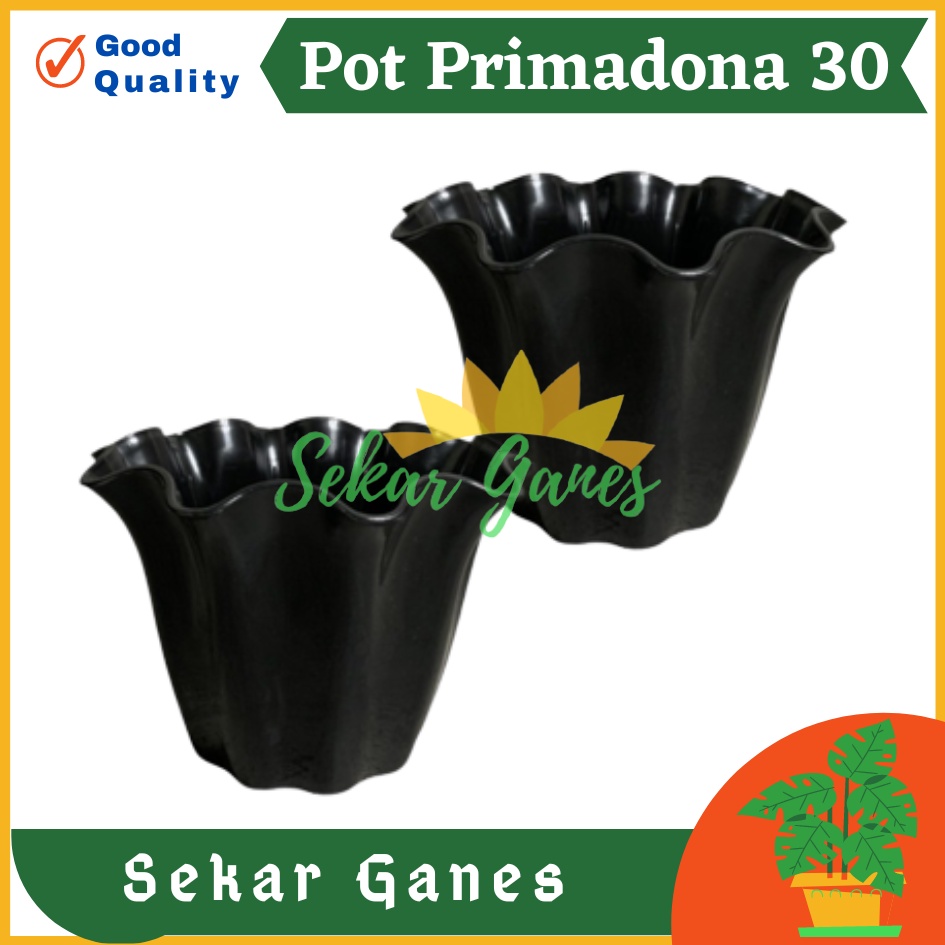 SHALLOM PRIMADONA 30 pot bunga plastik tebal bagus motif ombak bergelombang pot primadona 30 hitam murah