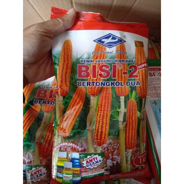 Benih Jagung Bisi 2 Cap Kapal Terbang 1kg