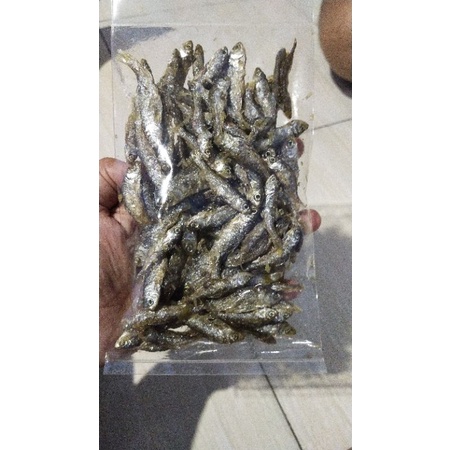 

ikan bilih danau singkarak