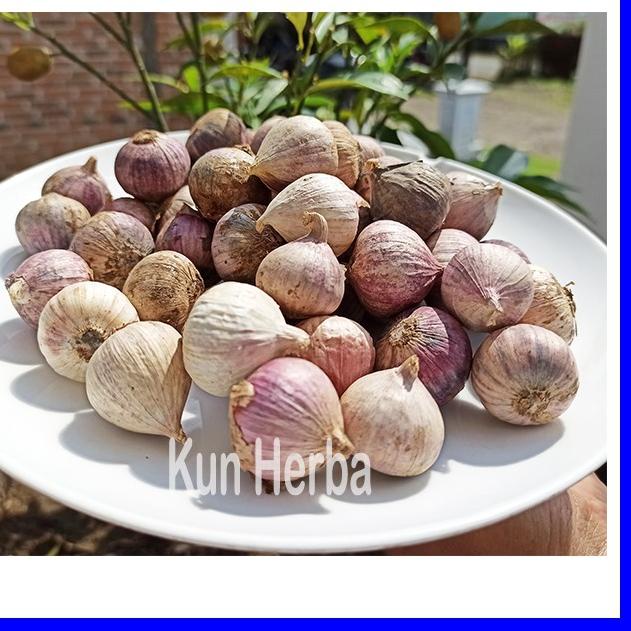 

10.10 FLASH SALE BAWANG PUTIH TUNGGAL 1 KG - BAWANG PUTIH LANANG serbuuu !