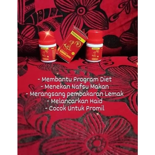 Pil pelangsing herbal FF by fenny frans