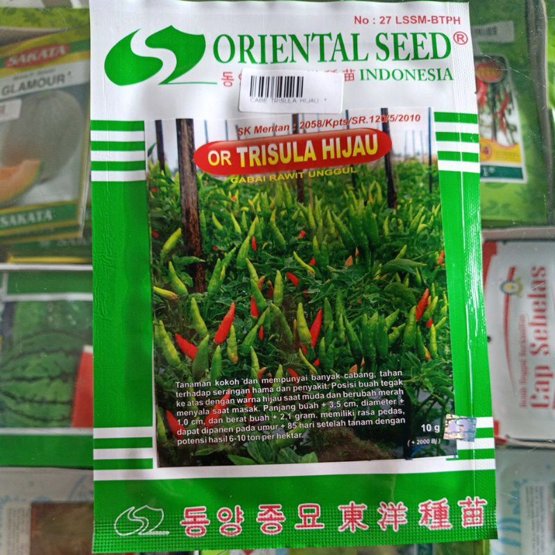 Benih Cabai Rawit OR Trisula Hijau Oriental Seed