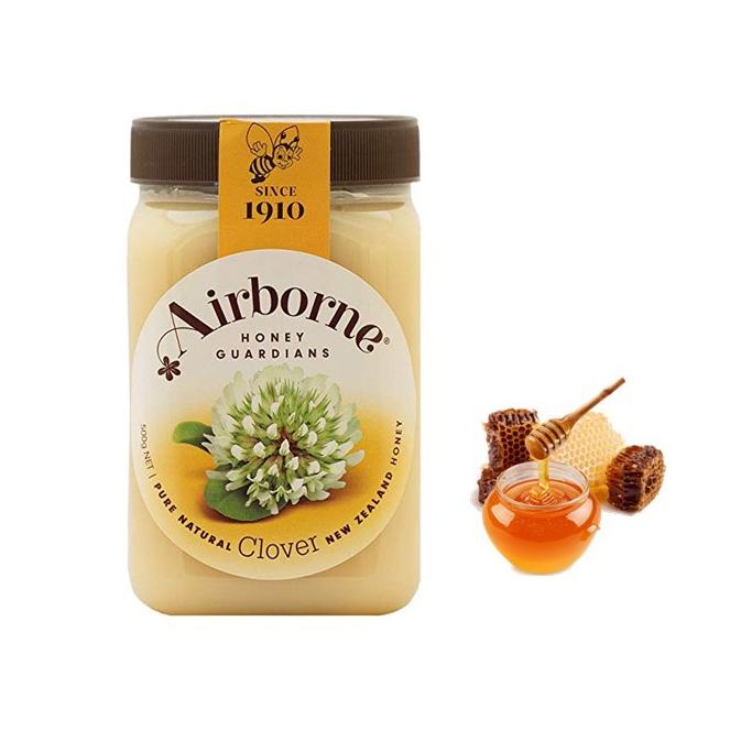 

Harga Terbaik--Airborne Clover Honey 500 gr