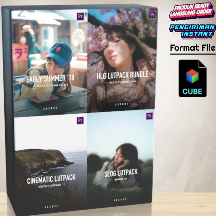 

Auxout Luts Bundle Pack
