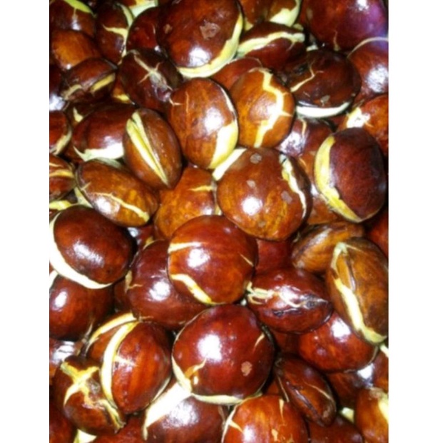 

jengkol super murah 500 gram belum di kupas