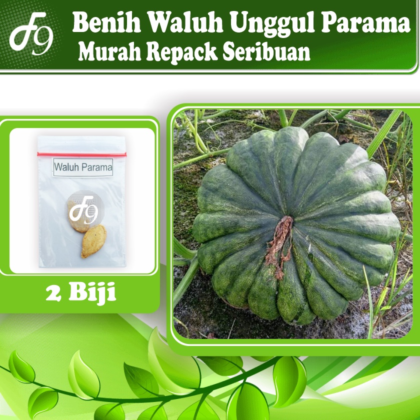Benih Bibit Waluh Unggul Parama Murah Repack Seribuan