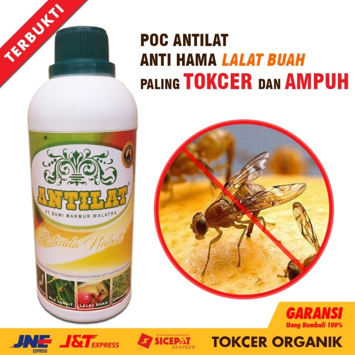 Promo INSEKTISIDA PESTISIDA ORGANIK ANTILAT OBAT HAMA PEMBASMI LALAT BUAH #u@