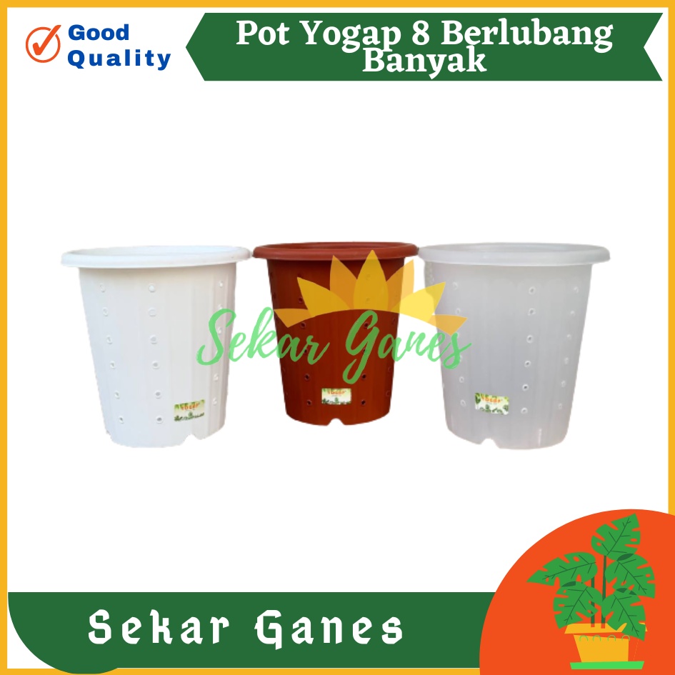 PROMO Pot Yogap 8 BERLUBANG Putih Bening Transparan Merah Bata Merah Coklat Terracota Terracotta-POT BUNGA YOGAP YPT 13 BERLUBANG BENING / TRANSPARAN PUTIH &amp; MERAH BATA | POT TANAMAN HIAS