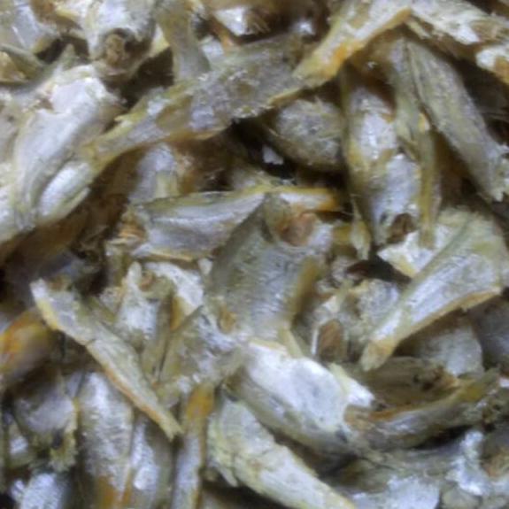 

✨Original✨ Sampah sekpoh/baklek 250gr !!!