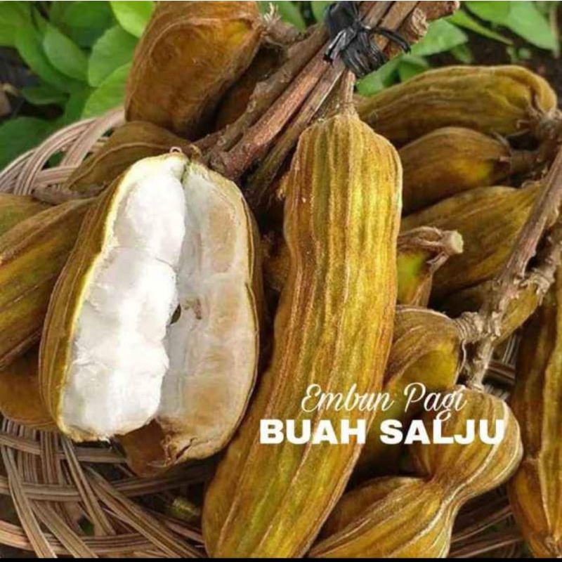 

buah salju
