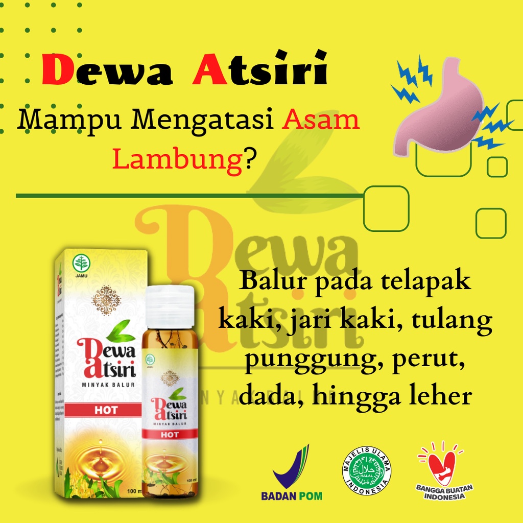 MINYAK OLES ASAM LAMBUNG | DEWA ATSIRI HOT