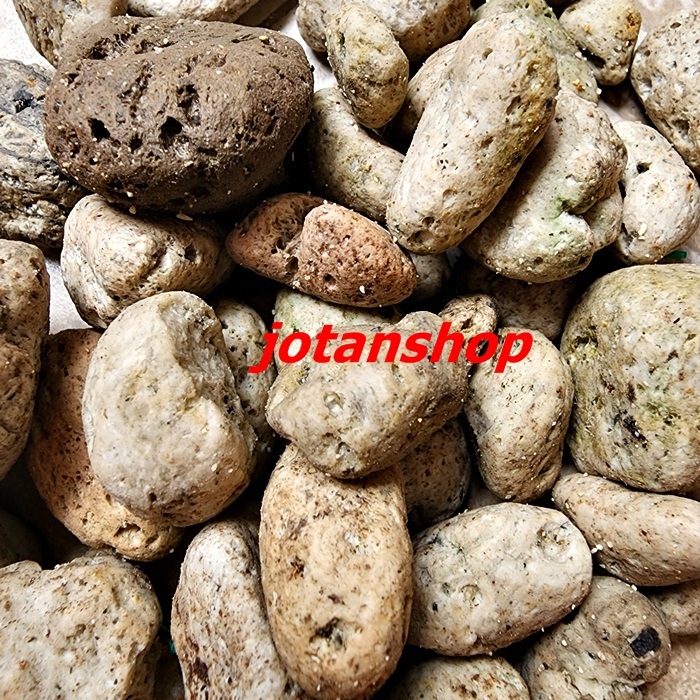 BATU APUNG AQUASCAPE PUMICE PUMIS STONE MEDIA FILTER RUMAH BAKTERI AQUARIUM