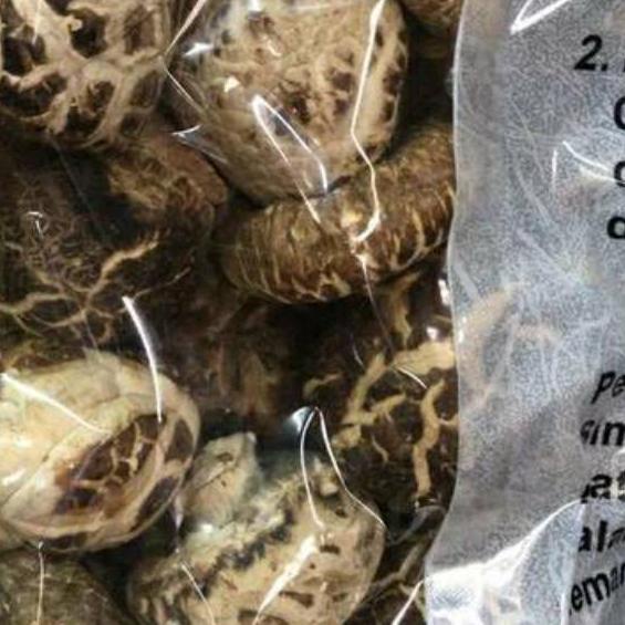 

ㄼ TERMURAH! Jamur Shitake/Grade A jamur payung kering/ Hioko/ Siangku Asli Import dried mushroom HARGA TERMURAH 3898 ◘