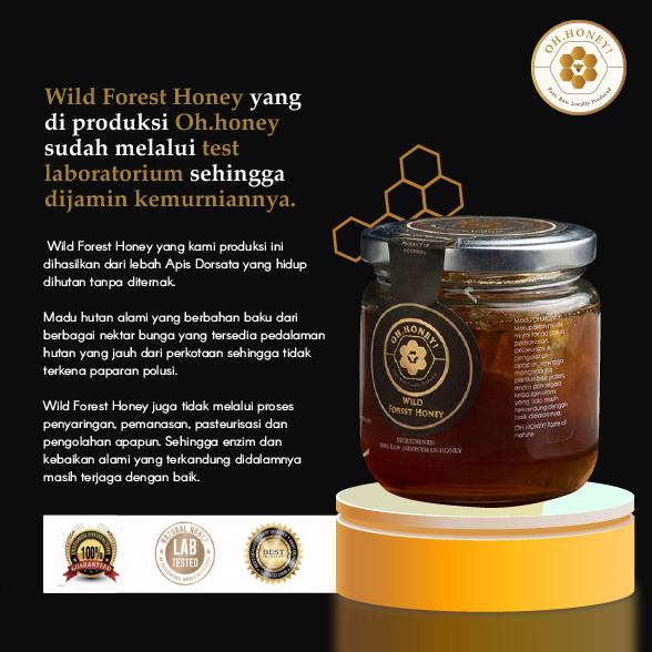 

[COD] Wild Forest Honey [COD]